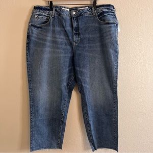 Anthropologie Pilcro The Vintage Straight Jeans Size 24W NWT